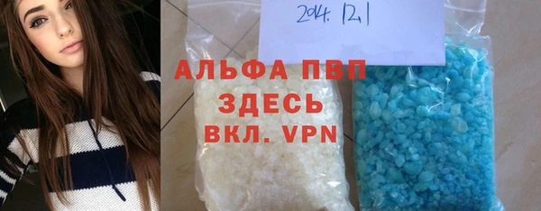 хмурый Белокуриха