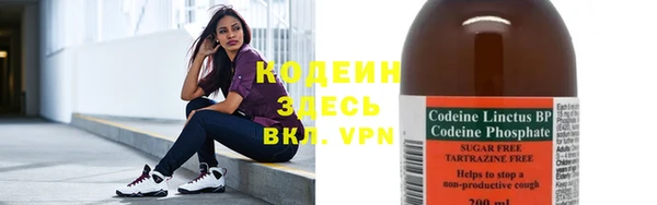 хмурый Белокуриха