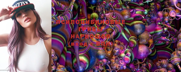 хмурый Белокуриха
