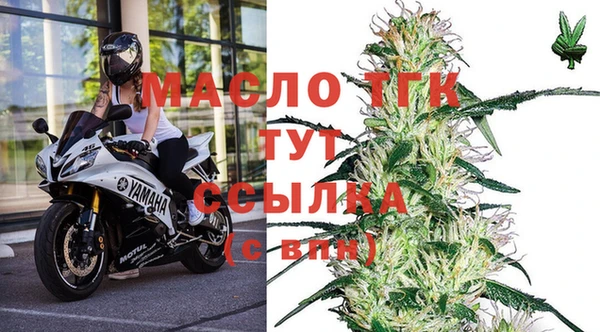 хмурый Белокуриха